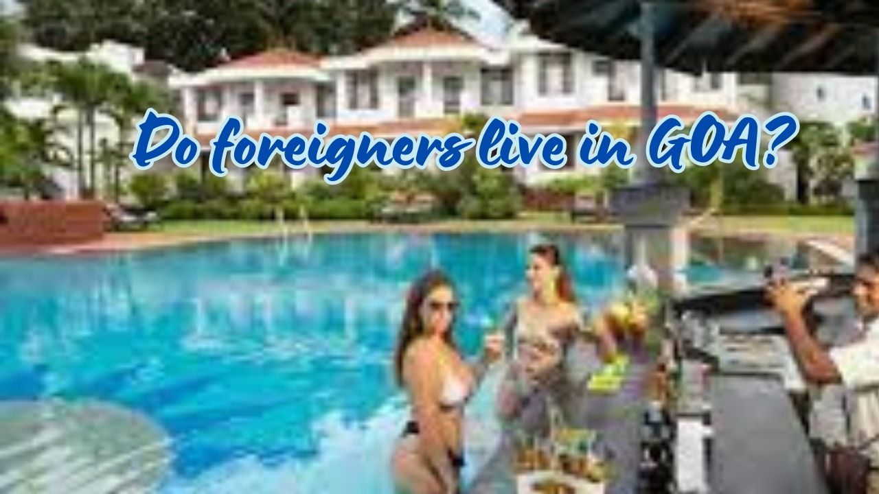 Magas Blog